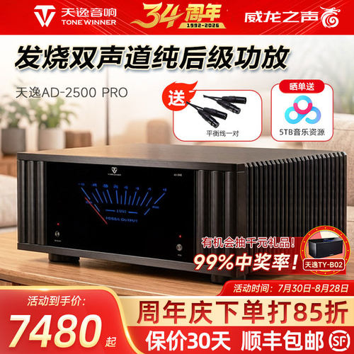 天逸AD-2500PRO大功率立体声功放
