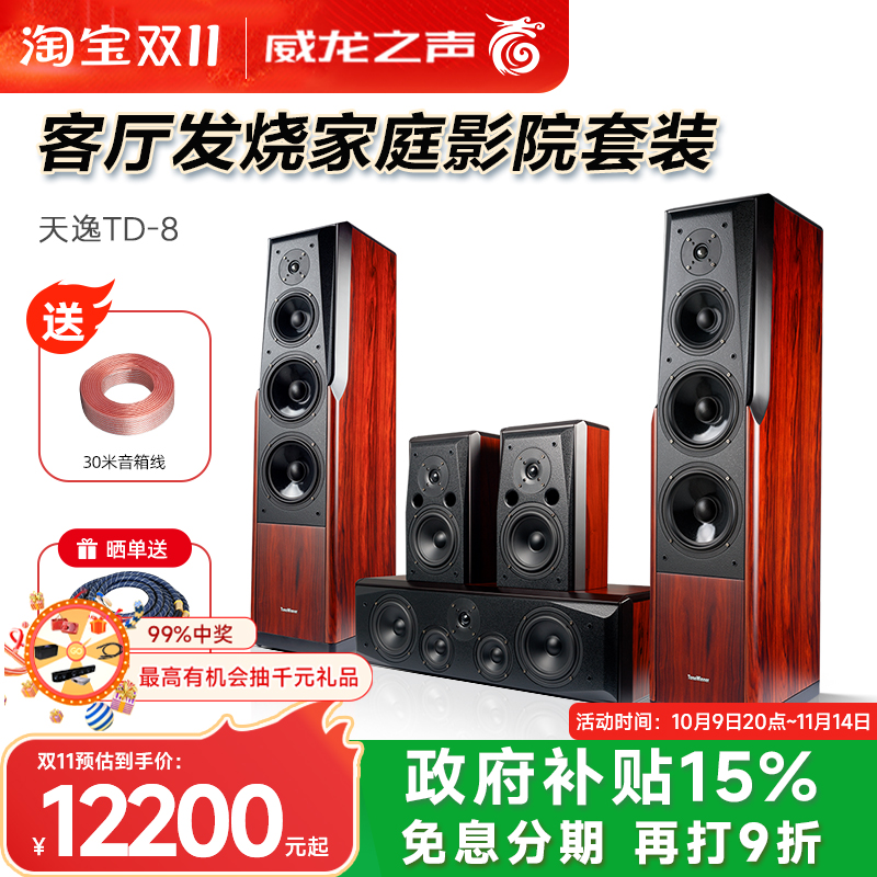 Winner/天逸 童笛八号 TD-8家庭影院音响套装5.1高保真落地式音箱