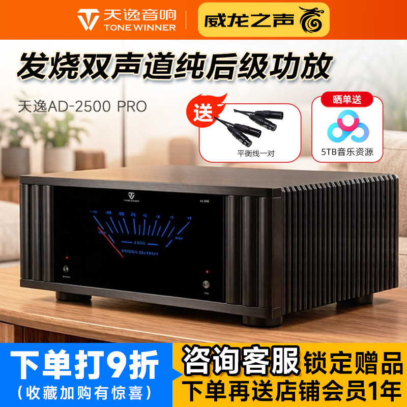 天逸AD-2500 PRO大功率发烧纯后级功放家用高保真立体两声道放大