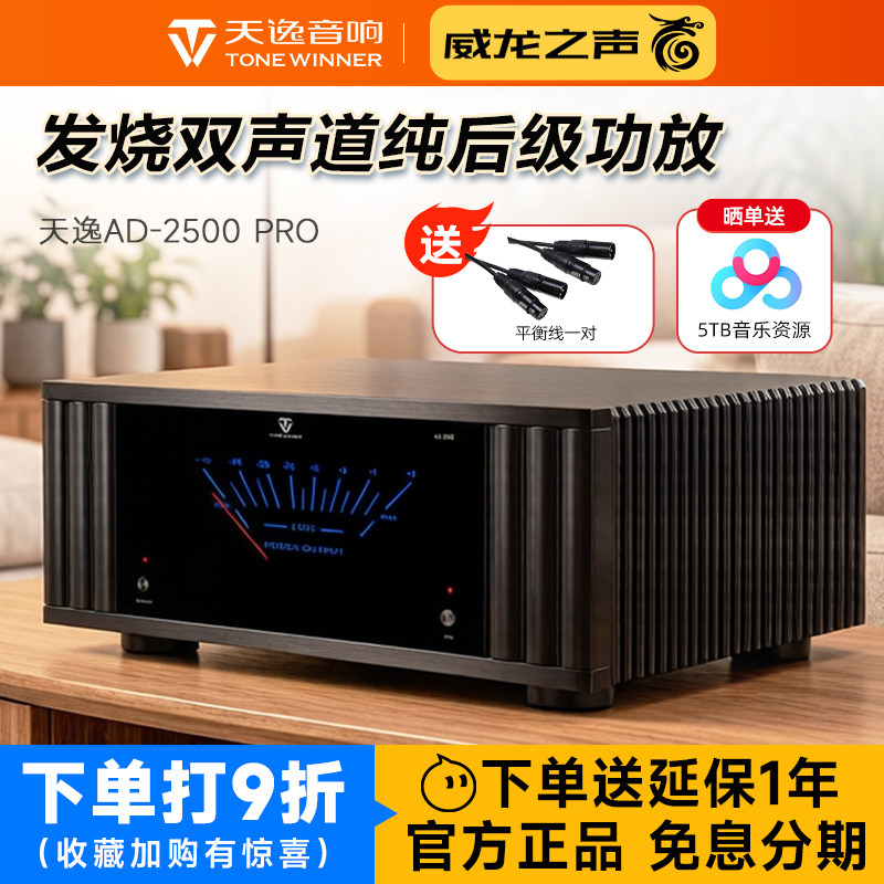 天逸AD-2500 PRO大功率发烧纯后级功放家用高保真立体两声道放大