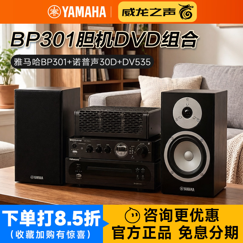 Yamaha/雅马哈 NS-BP301发烧胆机DVD组合音响高保