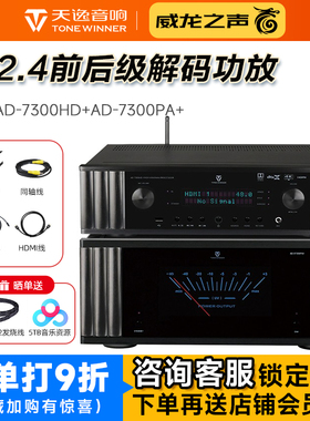Winner/天逸 AD-7300PA+纯后级11声道功放AD-7300HD前级家庭影院
