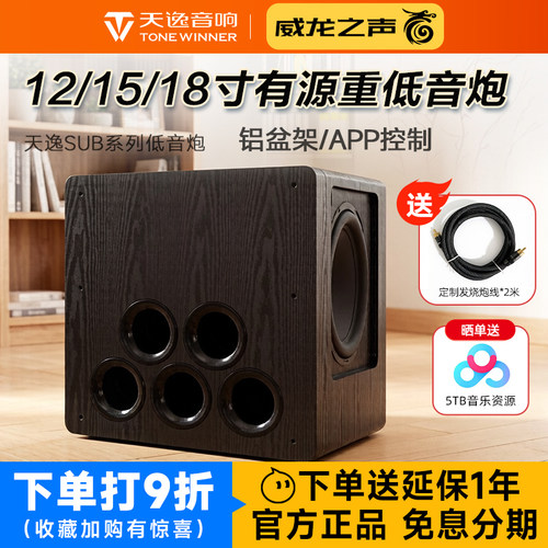 天逸12寸/15寸大功率有源低音炮