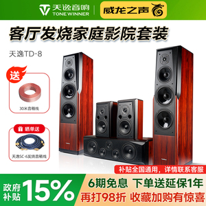 Winner/天逸 童笛八号 TD-8家庭影院音响套装5.1高保真落地式音箱