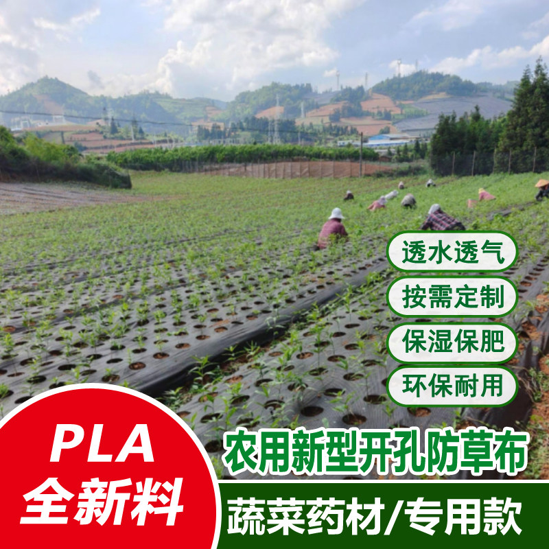 蔬菜药材专用打孔防草布除草布耐用花卉育苗可降解农用带孔地膜布,农机/农具/农膜,农用防草地布/除草布,淘宝优惠券,粉丝福利购,淘宝优惠卷