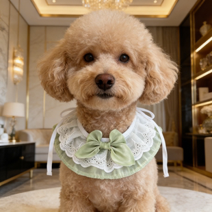 狗狗围巾项圈手工编织狗狗围嘴猫狗口水巾定制猫咪可爱猫猫围脖