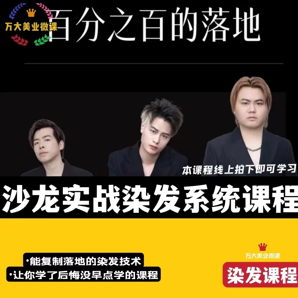 沙龙实战染发终点站系统雨哥杰哥系统课程美发颜色彩实操CTB教程