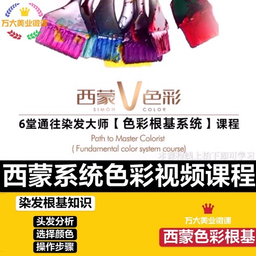 2020西蒙色彩根基系统课程染发基础教程美发视频