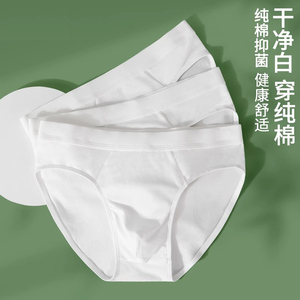 纯白色男士纯棉三角裤夏季薄款透气内裤100%全棉抗菌裆性感短裤头