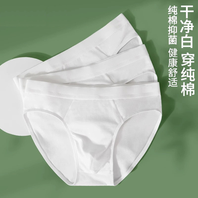 纯白色男士纯棉三角裤夏季薄款透气内裤100%全棉抗菌裆性感短裤头