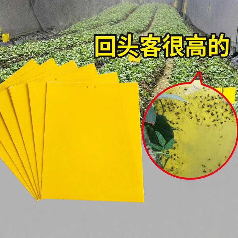 粘虫板双面防虫果蝇蓝板粘性强