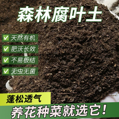 天然腐殖土有机种植土