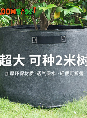 种植美植袋无纺布加仑盆果树育苗