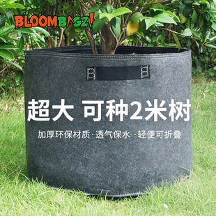育苗种植袋超大号阳台楼顶户外无纺布花盆植物果树盆栽专用美植袋