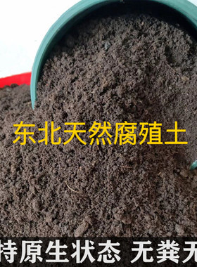 天然腐殖土养花种菜黑土肥沃土壤
