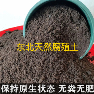 天然腐殖土养花种菜专用泥炭土阳台盆栽种植通用有机黑土花土山土