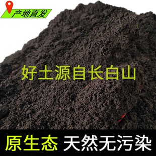 天然营养土腐殖土养花种菜黑泥土盆栽绿植有机种植土爬宠专用山土