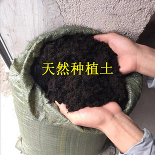 天然腐殖土养花种菜专用营养土盆栽有机黑土泥炭土松针土沙土花土