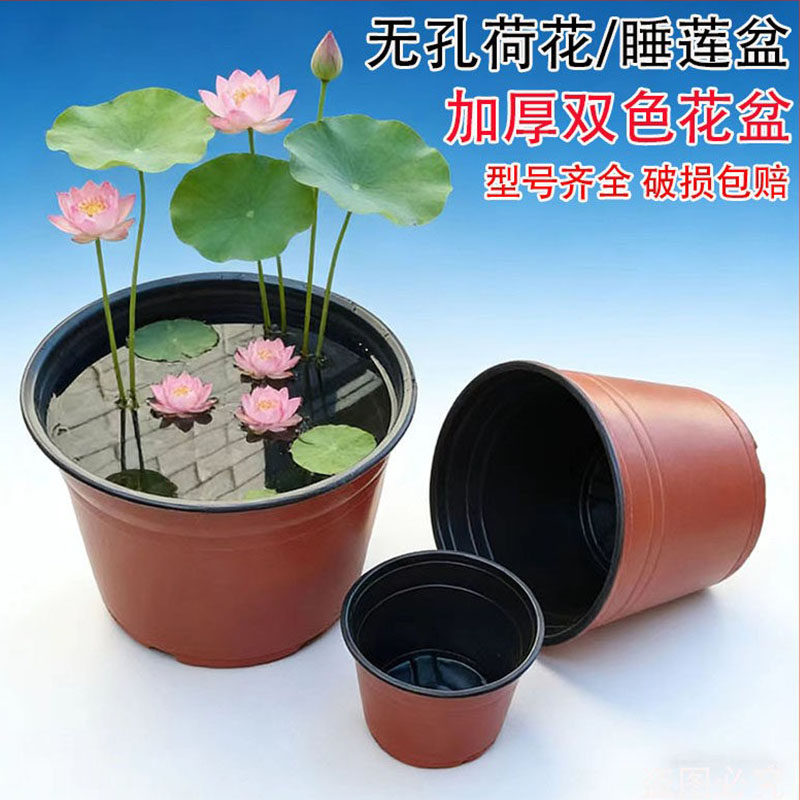 无孔加厚防漏塑料水培盆荷花睡莲图片