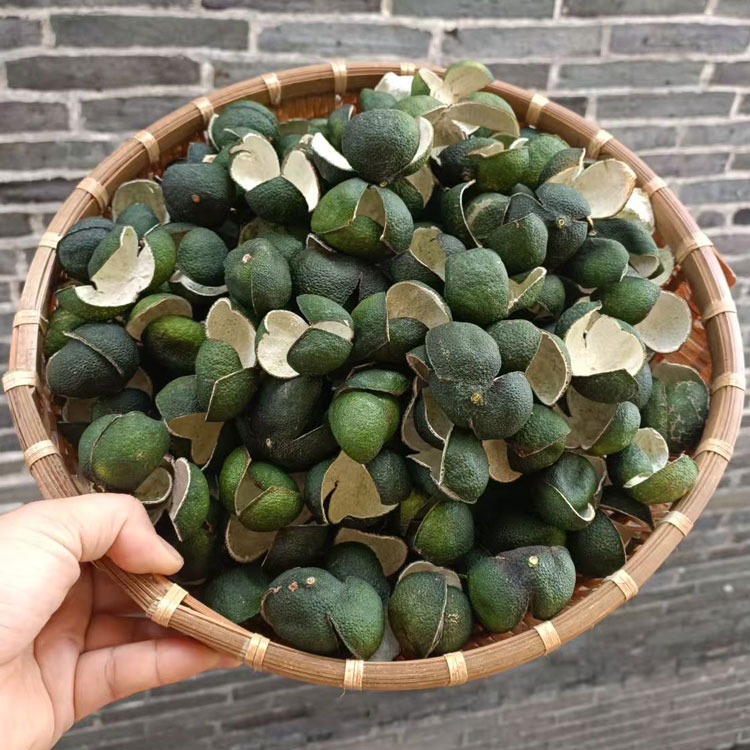 2026年正宗新会老树陈皮地道茶枝柑8月小青柑皮三花青生晒干果皮