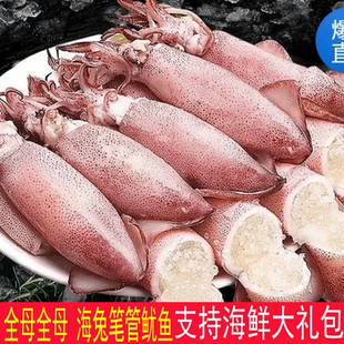 新鲜笔管鱿鱼 新鲜海兔小八爪鱼满籽籽乌大连海鲜 年货海鲜大礼包