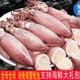 新鲜笔管鱿鱼 新鲜海兔小八爪鱼满籽籽乌大连海鲜 年货海鲜大礼包