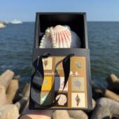 包邮 天然贝壳手帐本记事便签本手工海边度假旅游手办礼品纪念品