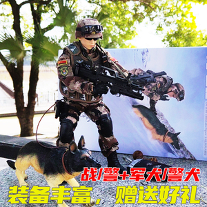 PLA战友纪念品特战兵人手办模型1/6关节可动和平使命陆军特种部队