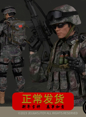 1/6兵人手办模型中国军人解放军PLA特种兵送战友退伍老兵纪念礼品