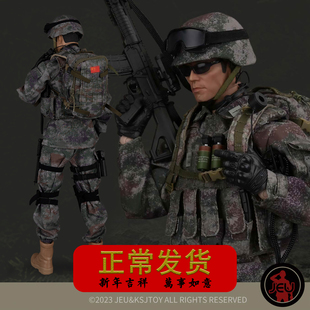 1/6兵人手办模型中国军人解放军PLA特种兵送战友退伍老兵纪念礼品