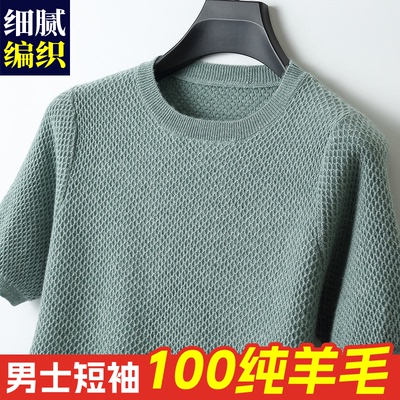 秋冬100羊毛衫男圆领短袖蜂窝毛衣青年商务T恤宽松纯色针织打底衫