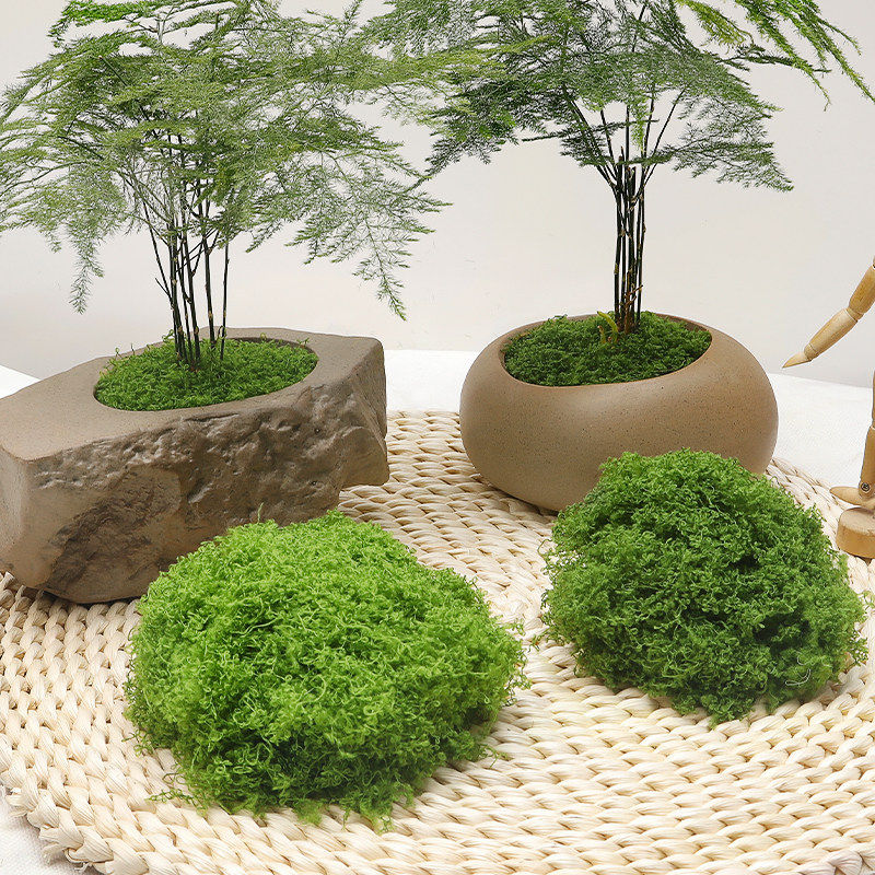 彷真苔藓草皮假青苔石头块彷生摆件拍摄人工造景假山草坪盆景盆栽