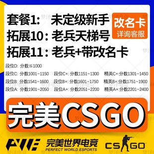 完美csgo号新手老兵cs2账号成品小号天梯白号d号低分c号世界平台