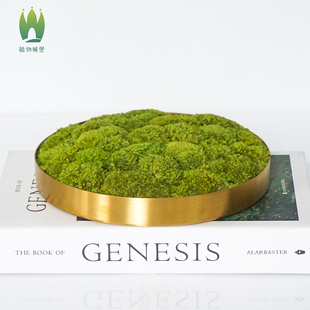 新中式永生苔藓样板间售楼部酒店包房台面轻奢盆景插花青苔摆件