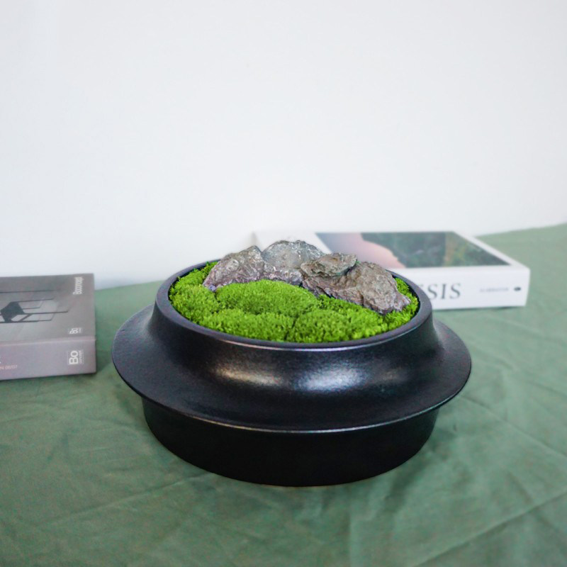 苔藓微观植物盆栽禅意桌面绿植盆栽日式青苔创意盆景新中式摆件