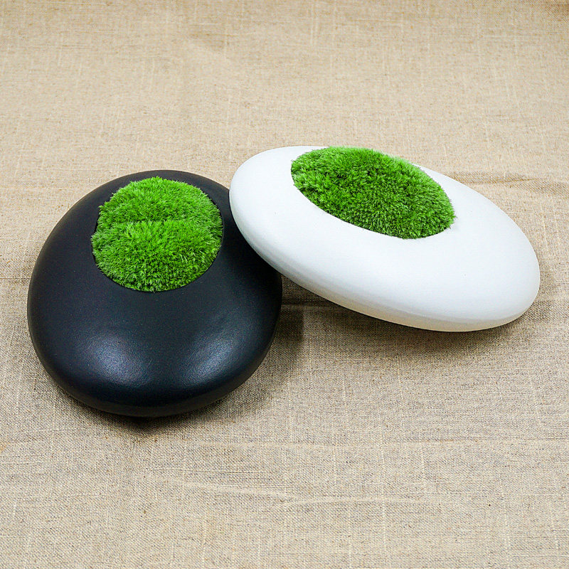 青苔苔藓植物微缩盆景微景观鲜活微观盆栽微型景观摆件成品包邮