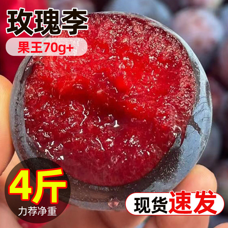 正宗新鲜玫瑰李老树脆甜新鲜水果