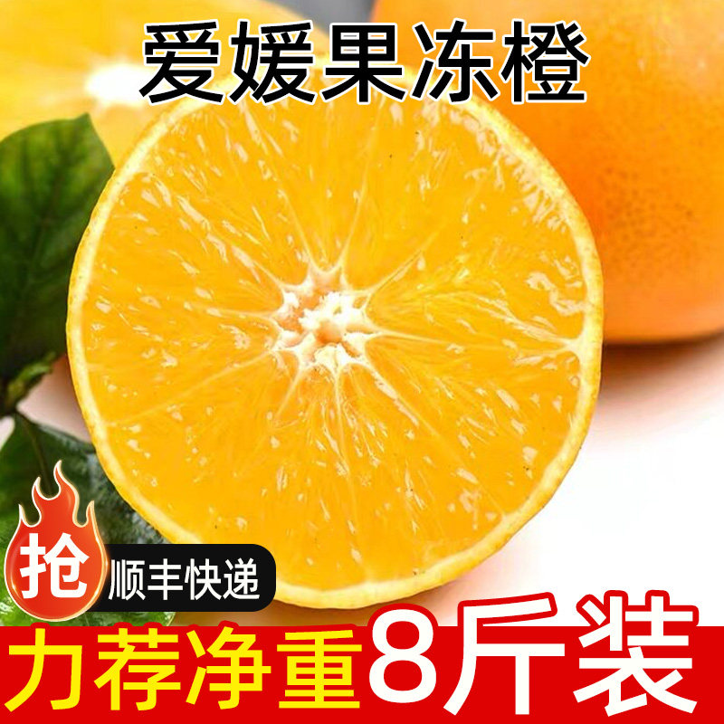 四川爱媛果冻橙原产地应当季时令