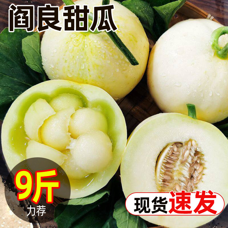 阎良甜瓜新鲜水果随机红肉白肉