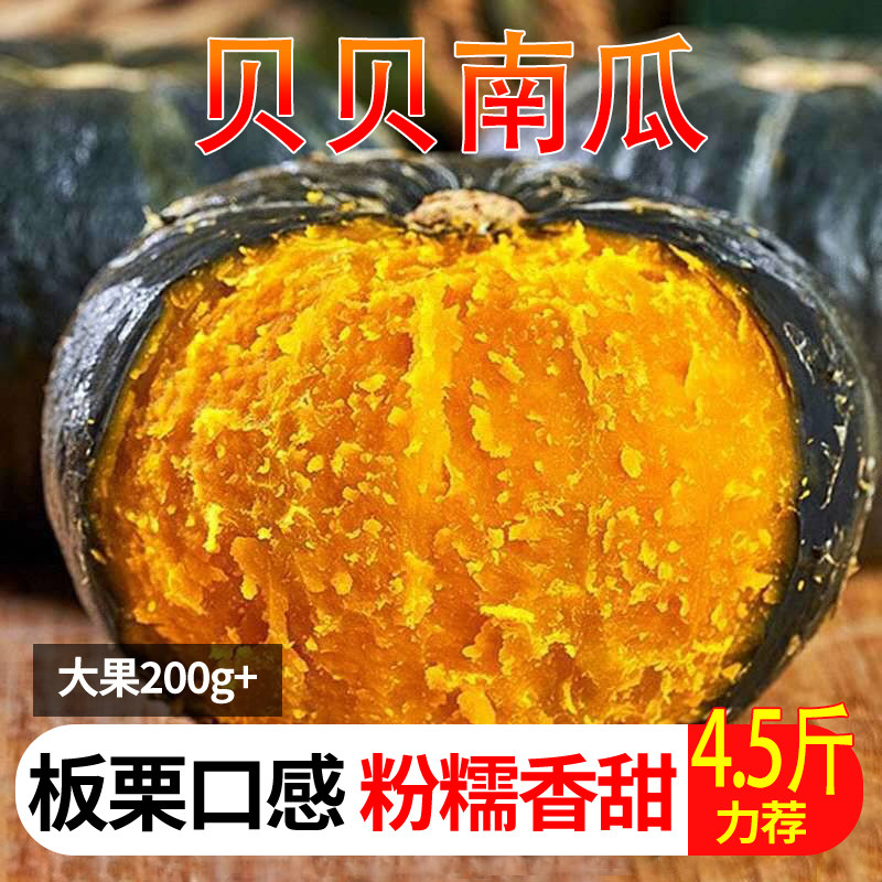 海南贝贝南瓜板栗味贵族小南瓜