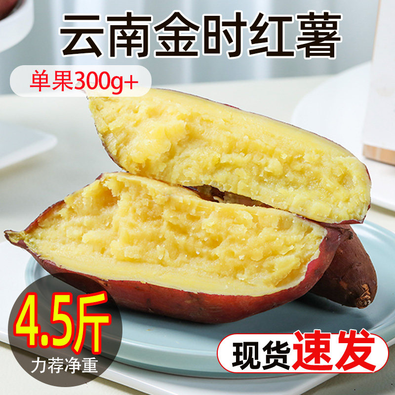 正宗云南金时红薯软糯香甜原产地