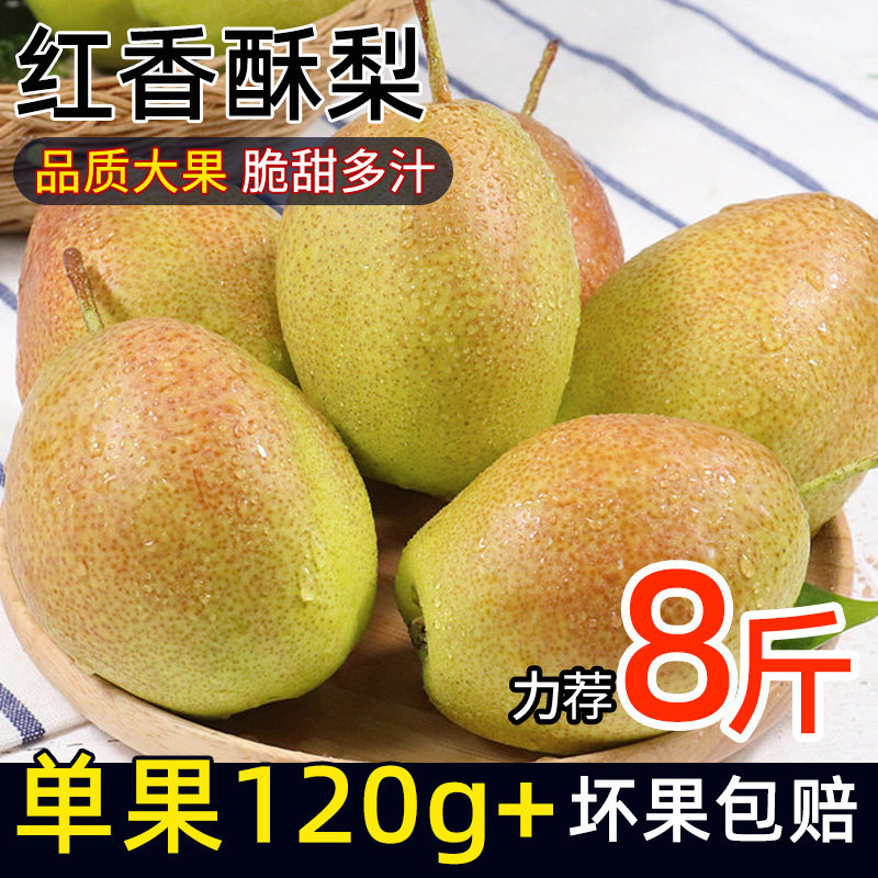 正宗红香酥梨皮薄脆甜新鲜水果