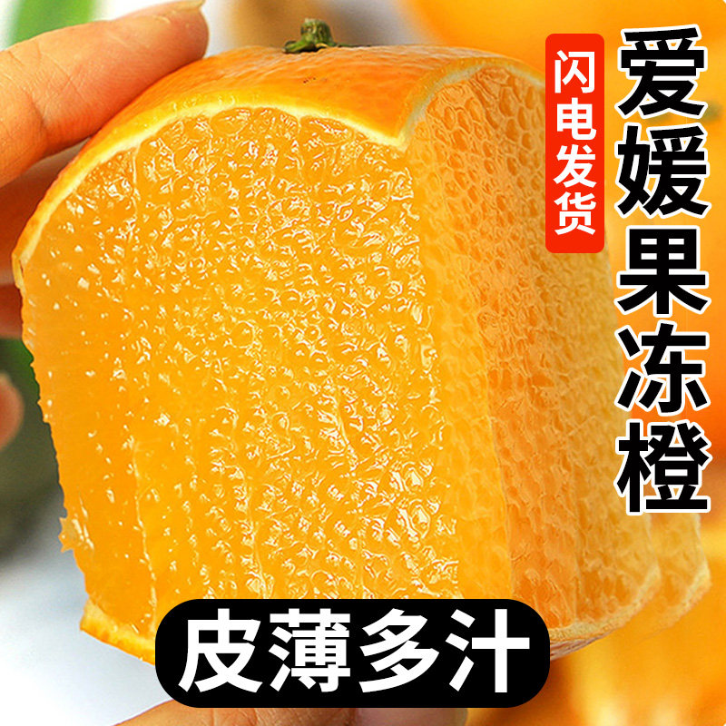 爱媛果冻橙新鲜水果原产地应当季多汁特大果美园地现摘整箱包发出
