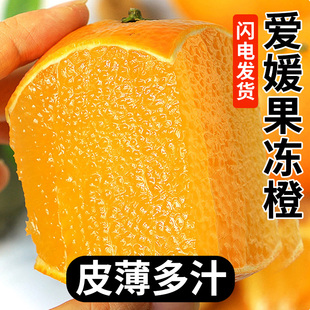 爱媛果冻橙新鲜水果原产地应当季多汁特大果美园地现摘整箱包发出