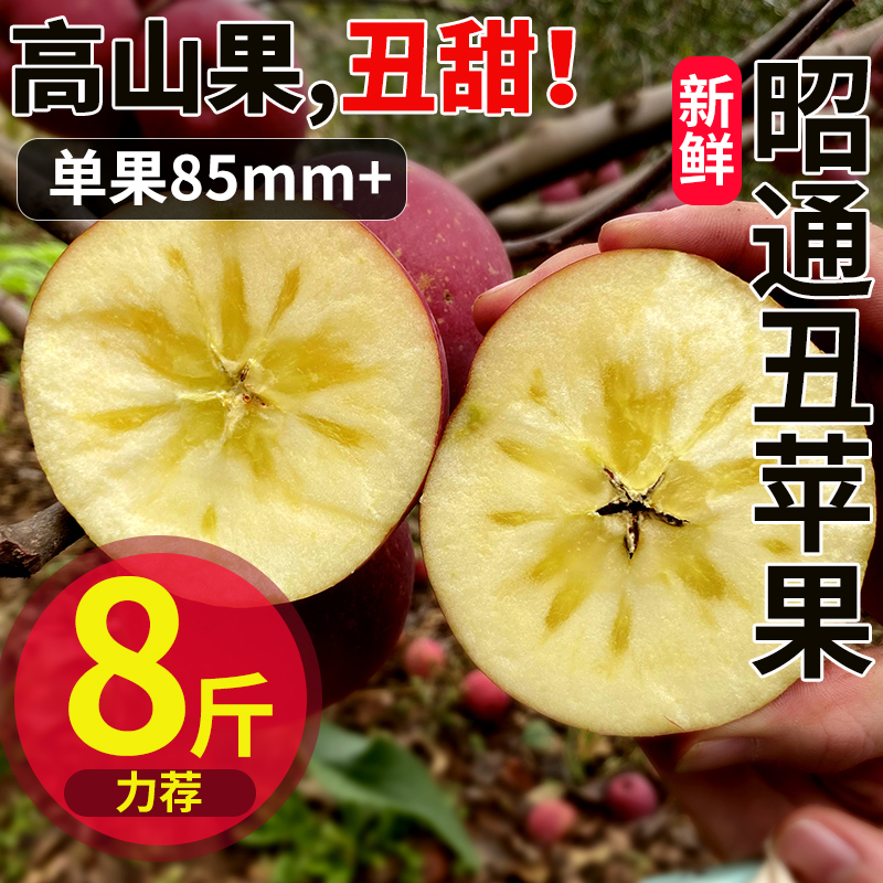 云南昭通冰糖心苹果脆甜