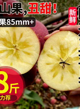 云南昭通冰糖心丑苹果脆甜原产地现货应当季新鲜水果整箱采摘速发