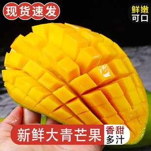 新鲜精品大青芒果应季新鲜水果生吃酸脆青皮越南甜心芒大果现货发