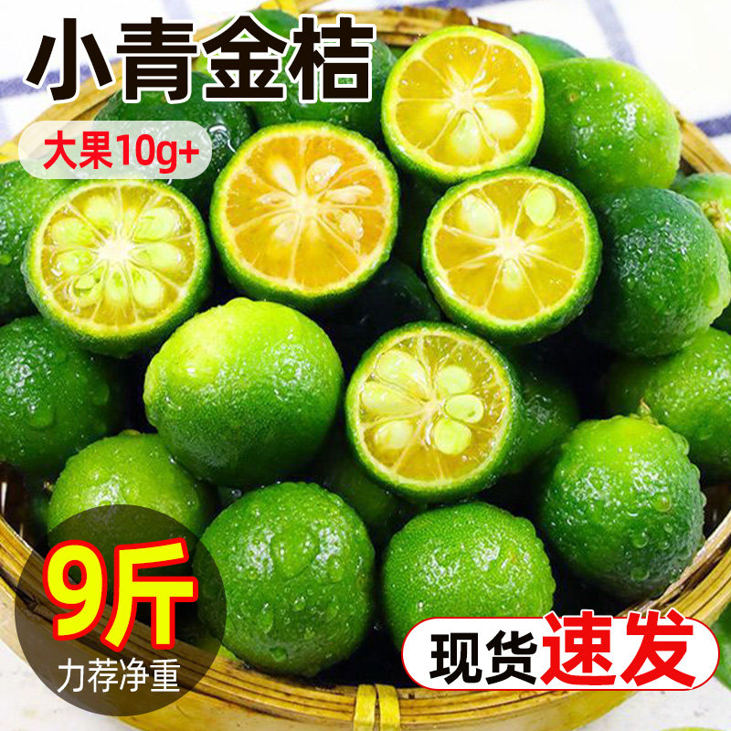 新鲜小青金桔青柠檬青柑应季时
