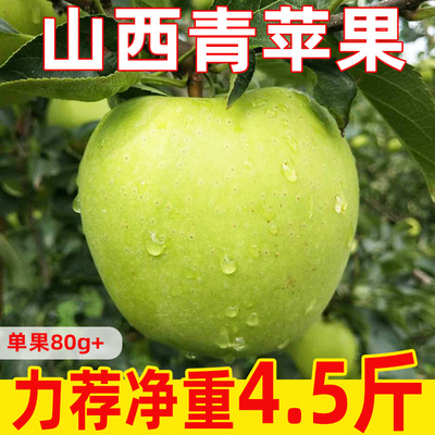 山西青苹果原产地应当季新鲜水果