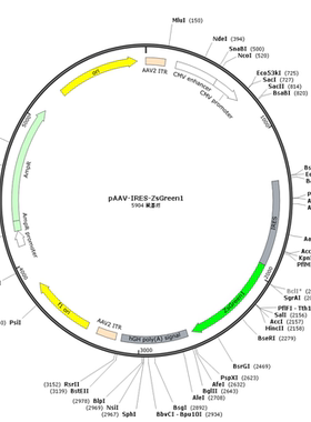 pAAV-IRES-ZsGreen1